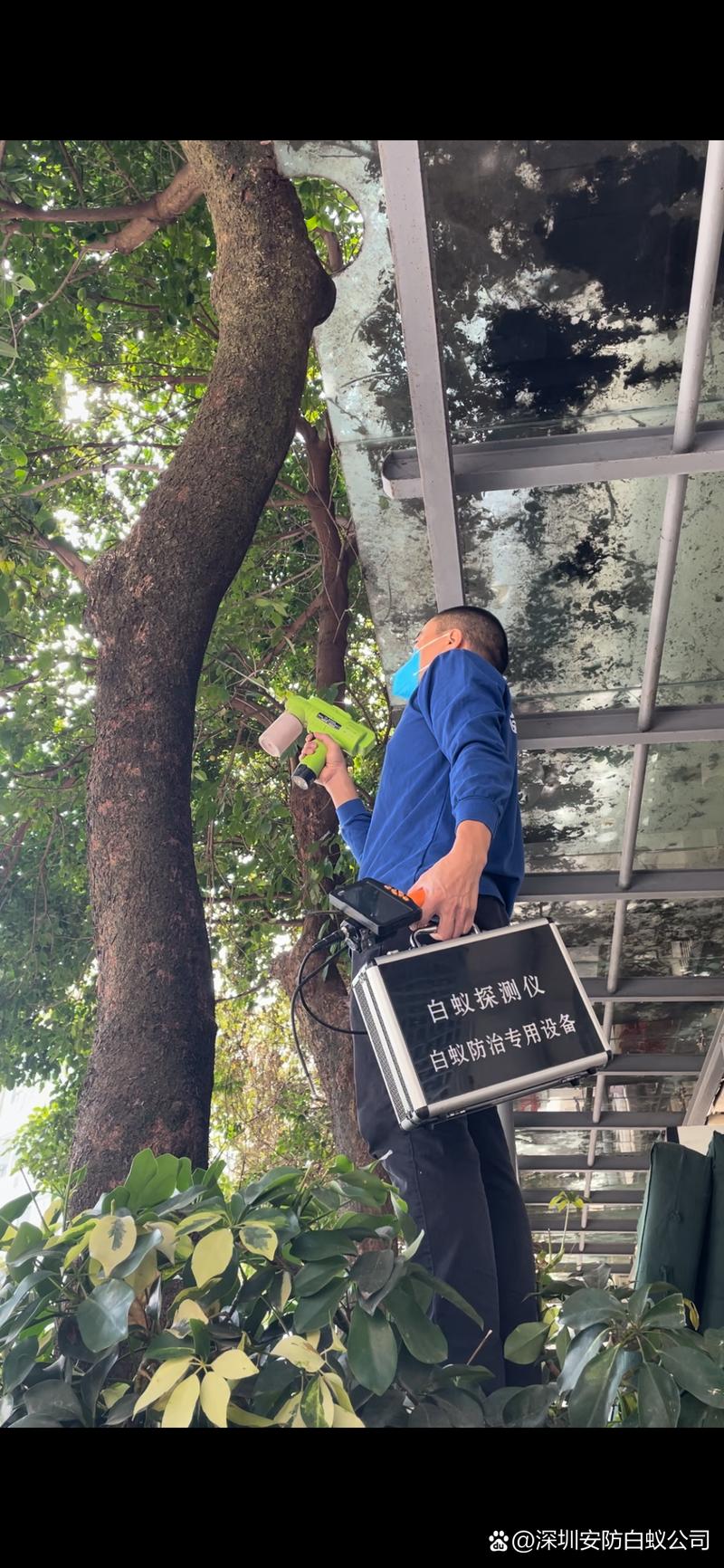 深圳市安防有害生物防治与白蚁防治中心 构筑城市健康屏障的专业力量